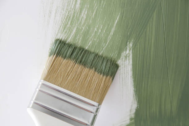  Applewood, CO Mold Removal Pros