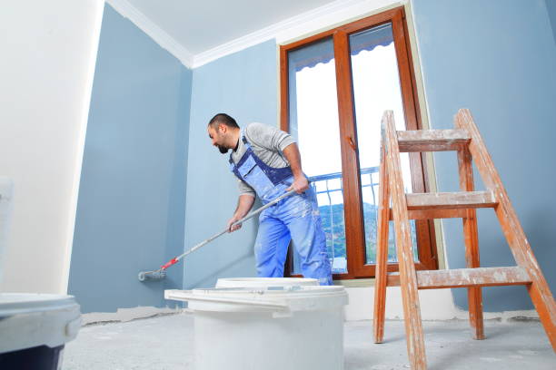 Best Water Damage & Mold Remediation  in Applewood, CO