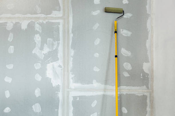 Best Commercial Mold Inspection  in Applewood, CO