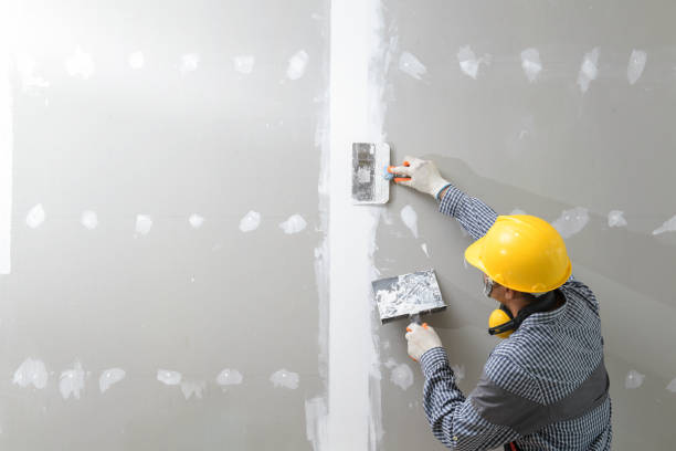 Best Emergency Mold Remediation  in Applewood, CO