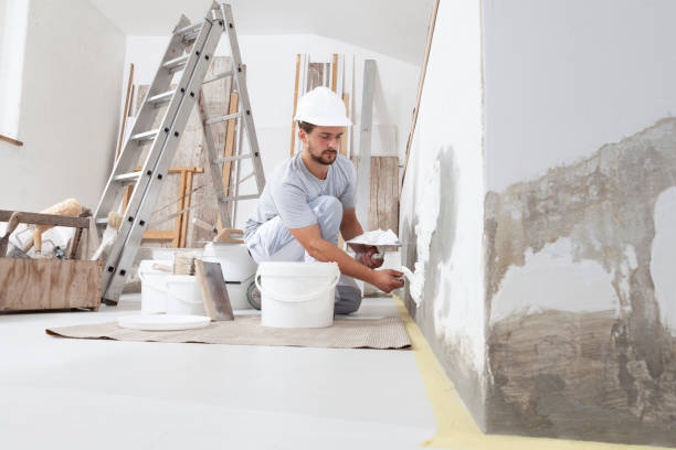 Best Mold Documentation for Insurance Claims  in Applewood, CO