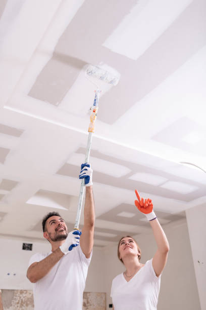 Reliable Applewood, CO Mold Removal Solutions