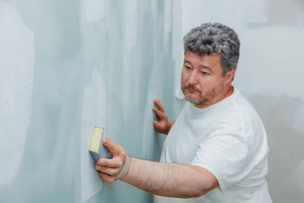 Best Air Quality Testing for Mold Spores  in Applewood, CO