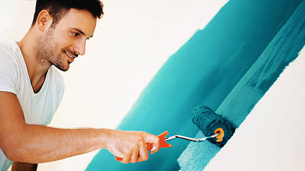 Best Forensic Mold Investigation  in Applewood, CO