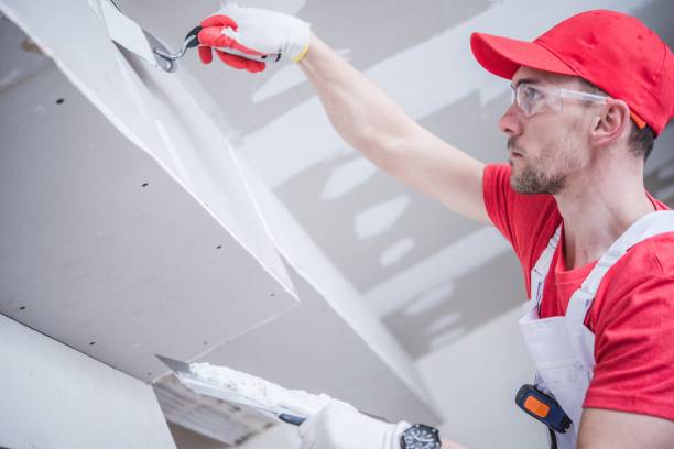 Best Black Mold Removal  in Applewood, CO